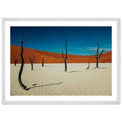 Namib Desert Photography Wall Art - Luxury Art Canvas