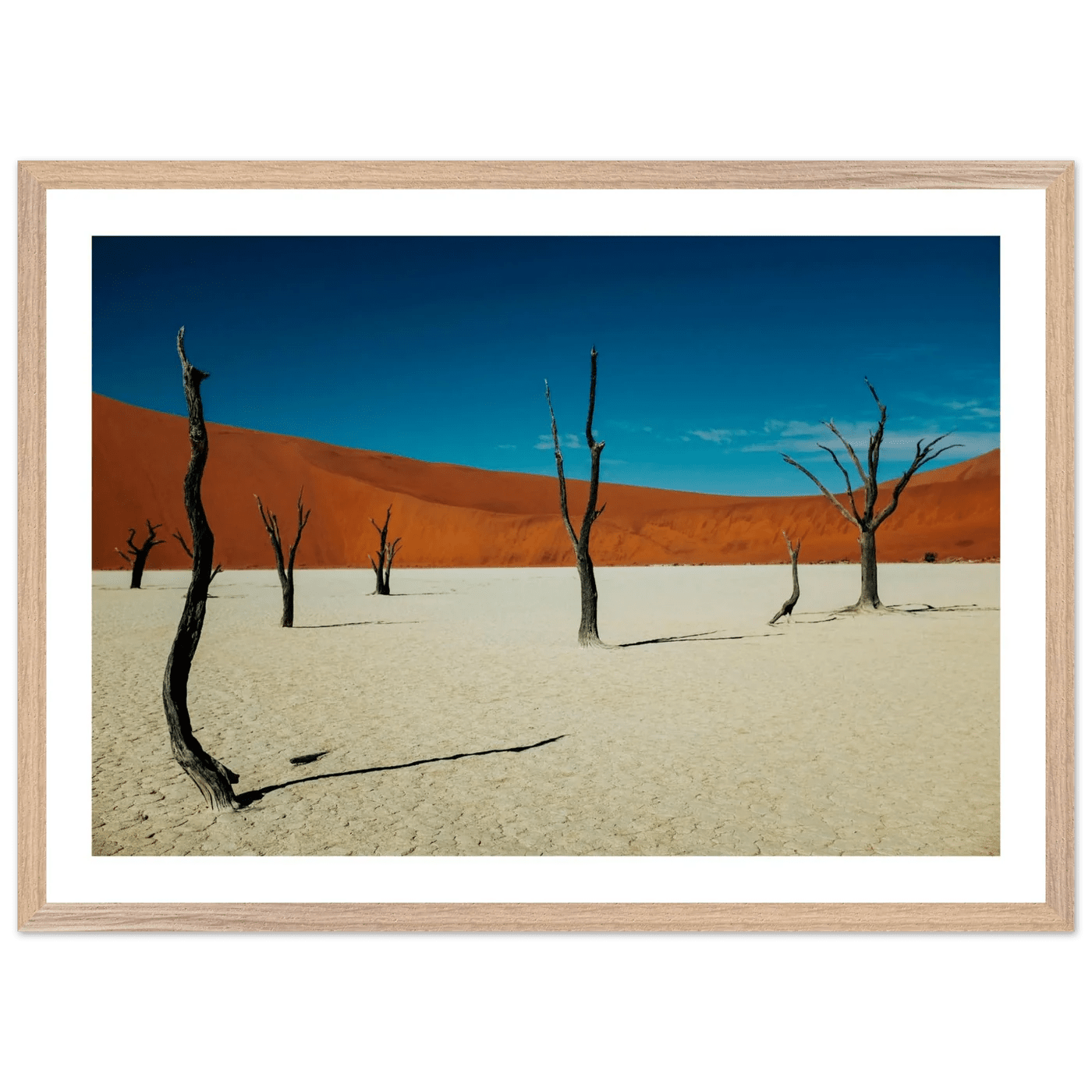 Namib Desert Photography Wall Art - Luxury Art Canvas