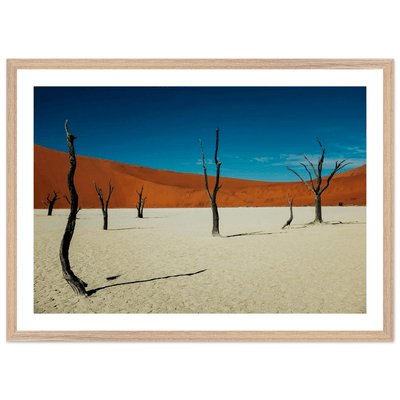 Namib Desert Photography Wall Art - Luxury Art Canvas