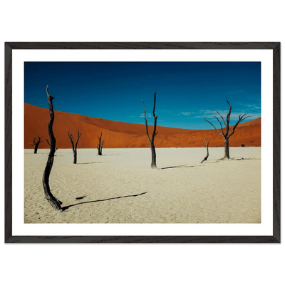 Namib Desert Photography Wall Art - Luxury Art Canvas