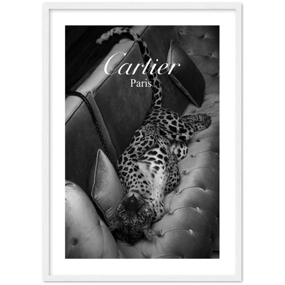 Photography Cartier Wall Art - Luxury Art Canvas