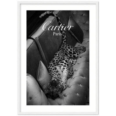 Photography Cartier Wall Art - Luxury Art Canvas