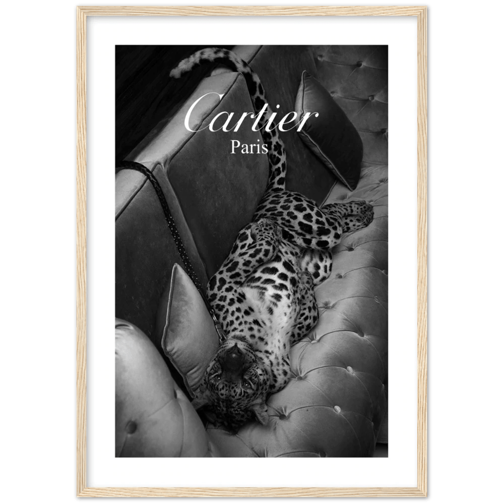 Photography Cartier Wall Art - Luxury Art Canvas