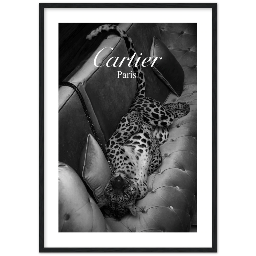 Photography Cartier Wall Art - Luxury Art Canvas