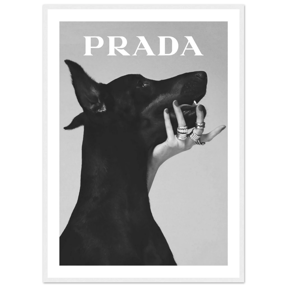 prada-picture-943255.png?v=