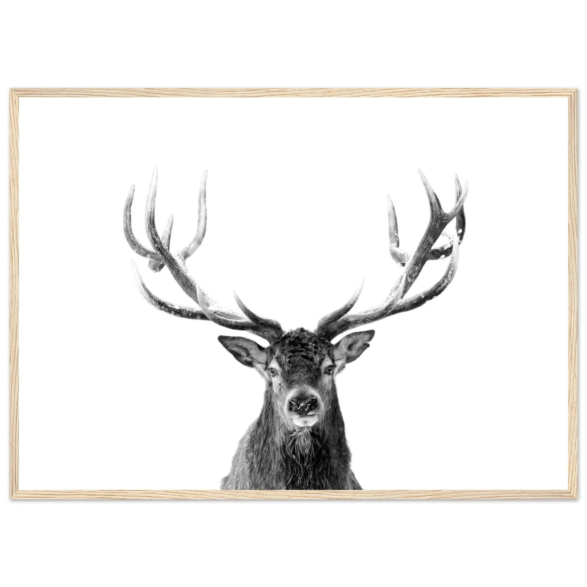 Reindeer Black and White Wall Art - Luxury Art Canvas