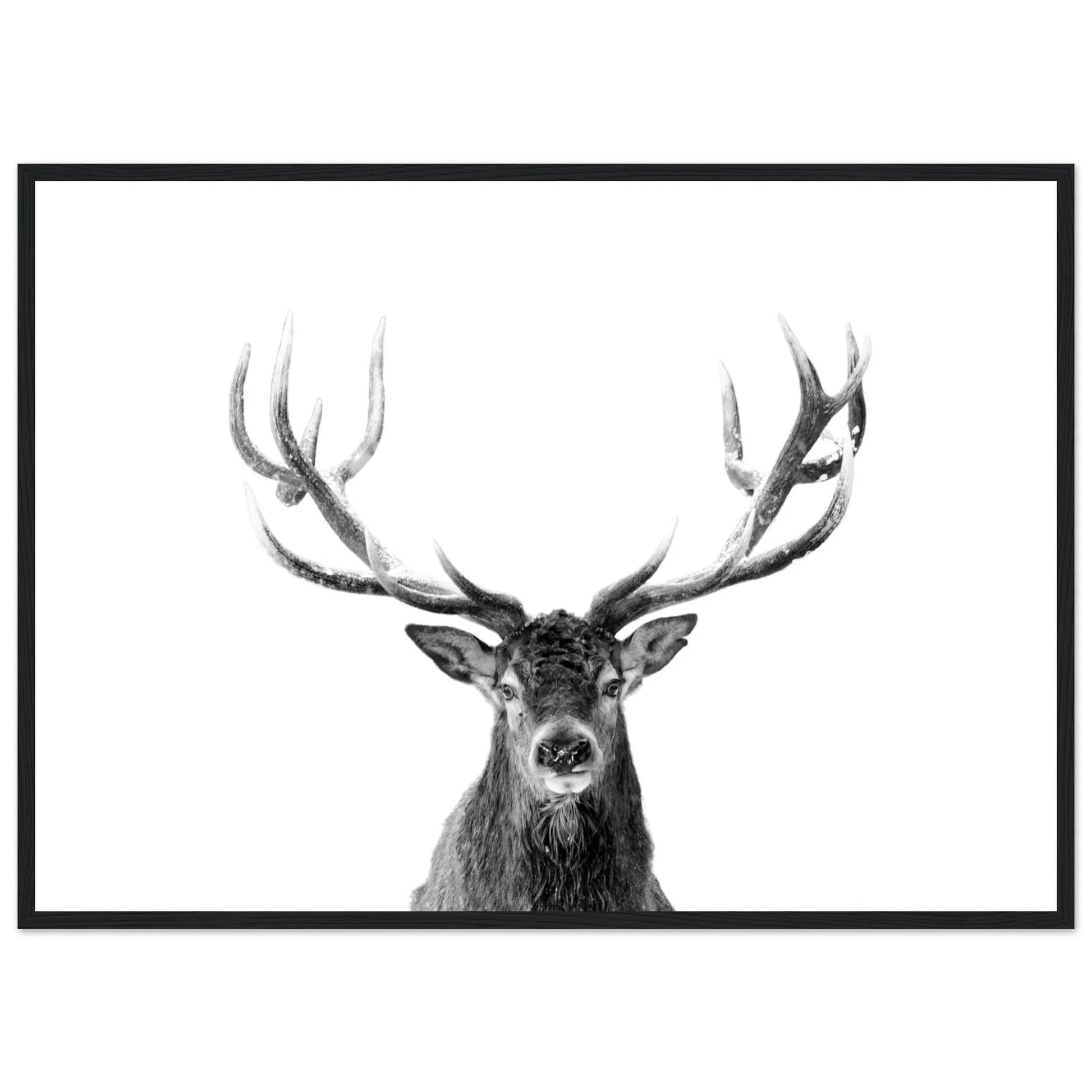 Reindeer Black and White Wall Art - Luxury Art Canvas