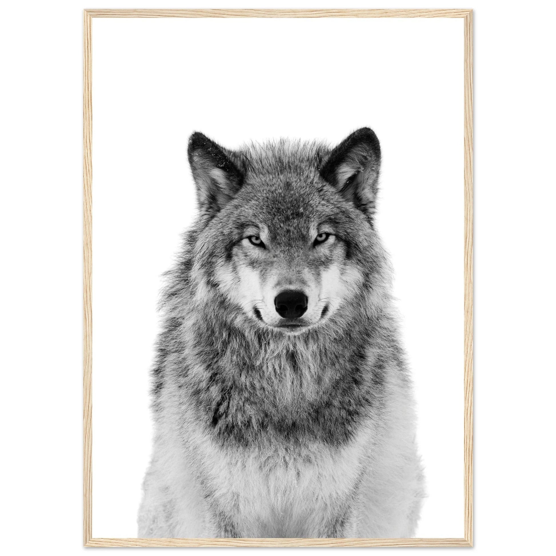 Wolf Black and White Wall Art - Luxury Art Canvas