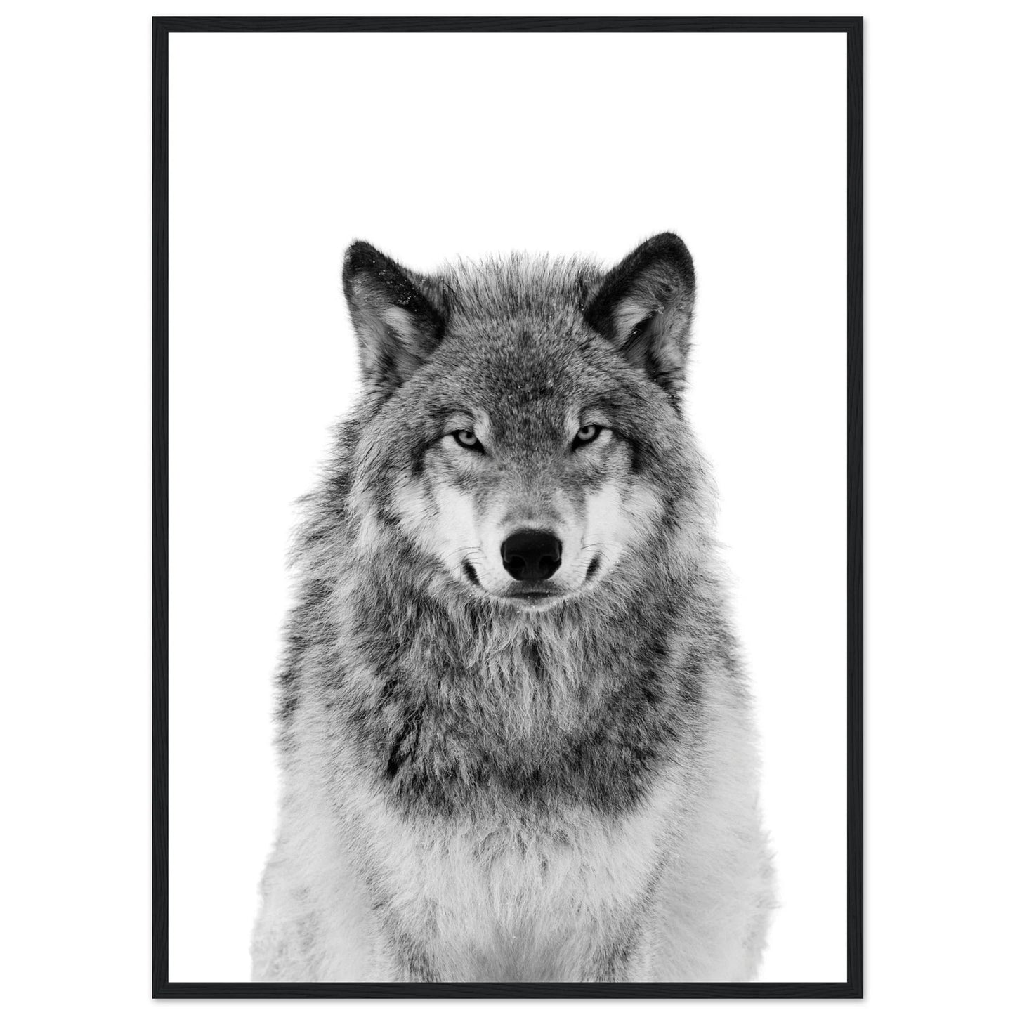 Wolf Black and White Wall Art - Luxury Art Canvas