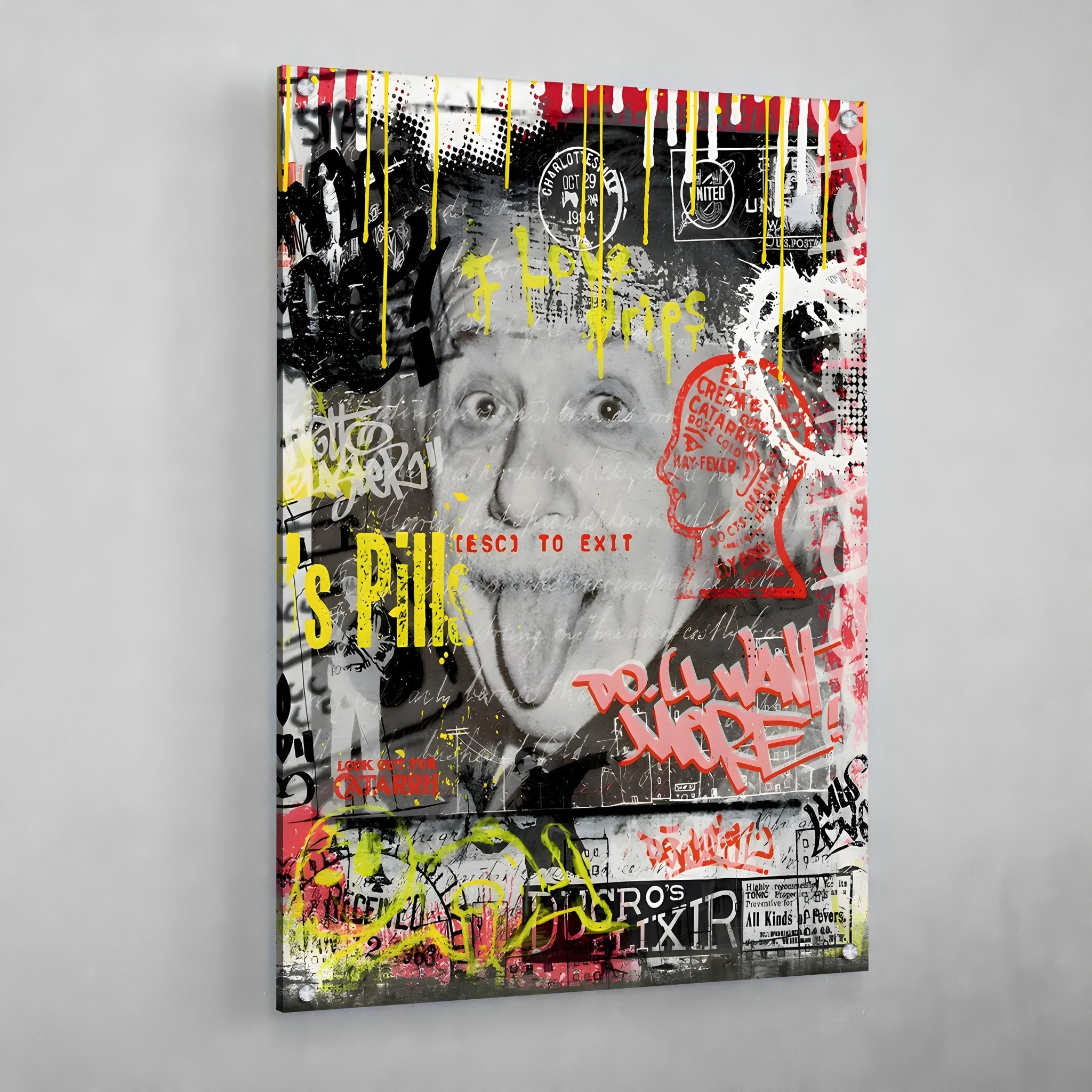 Einstein Graffiti Wall Art - Luxury Art Canvas