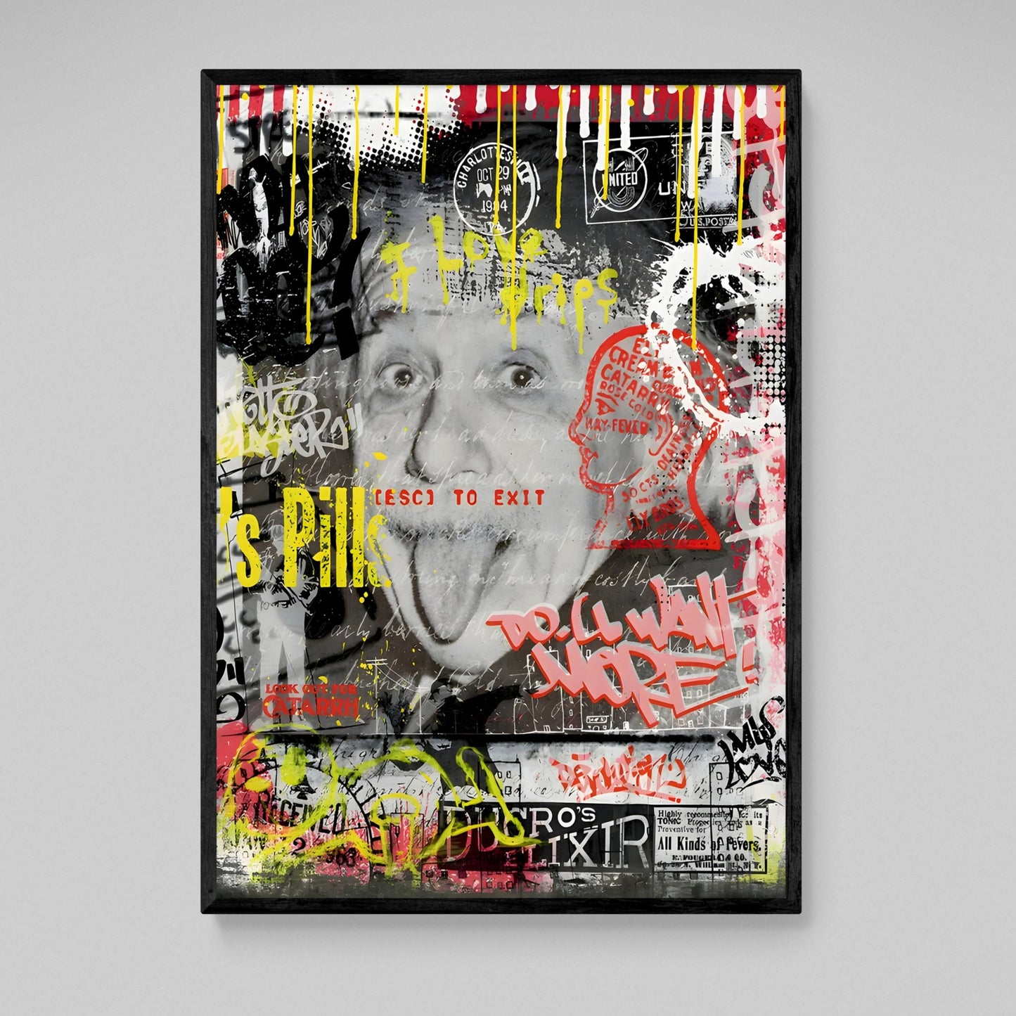 Einstein Graffiti Wall Art - Luxury Art Canvas