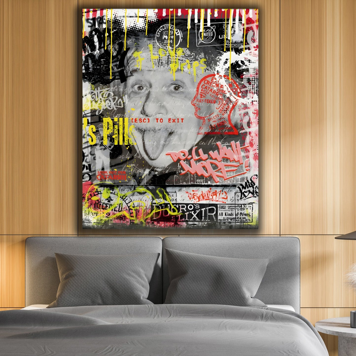 Einstein Graffiti Wall Art - Luxury Art Canvas