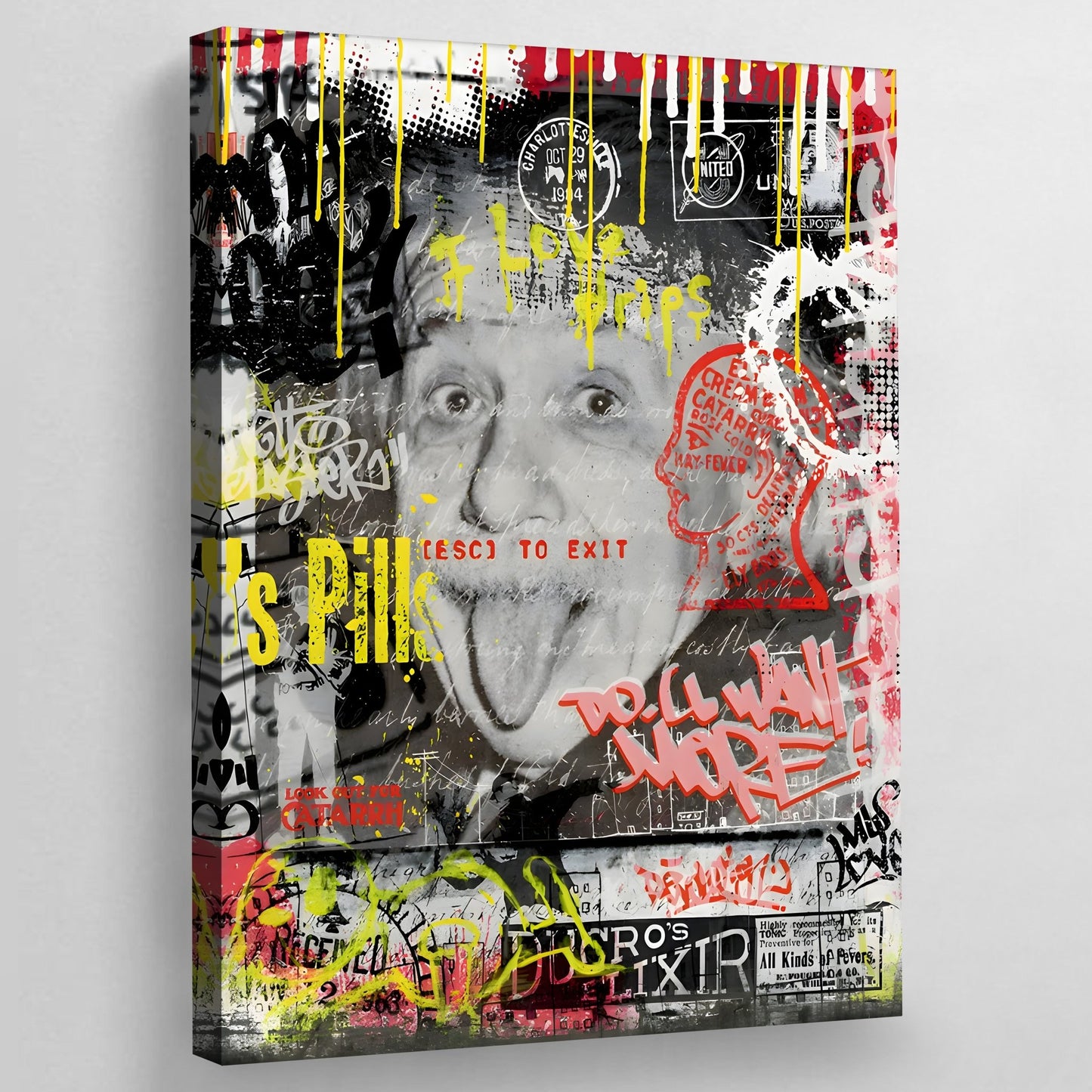 Einstein Graffiti Wall Art - Luxury Art Canvas