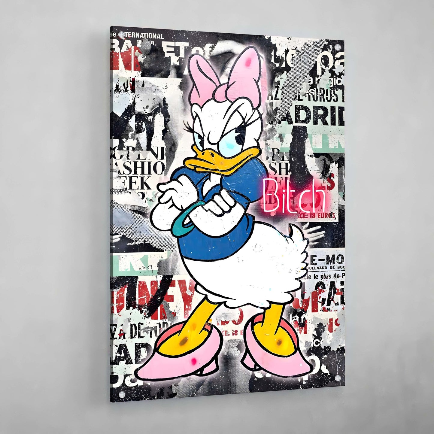 Lady Duck Graffiti Wall Art - Luxury Art Canvas