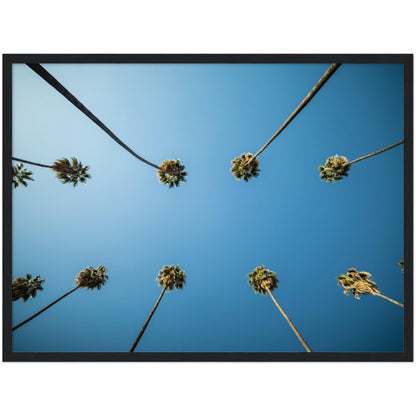 Los Angeles Palm Trees Wall Art - Luxury Art Canvas