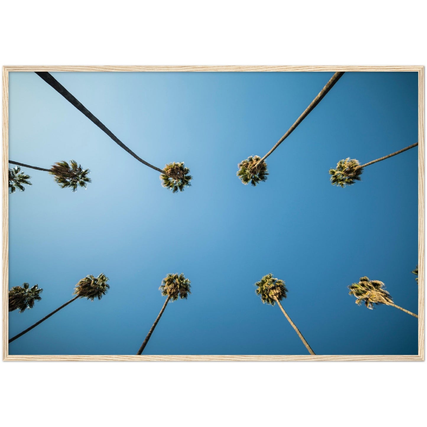 Los Angeles Palm Trees Wall Art - Luxury Art Canvas