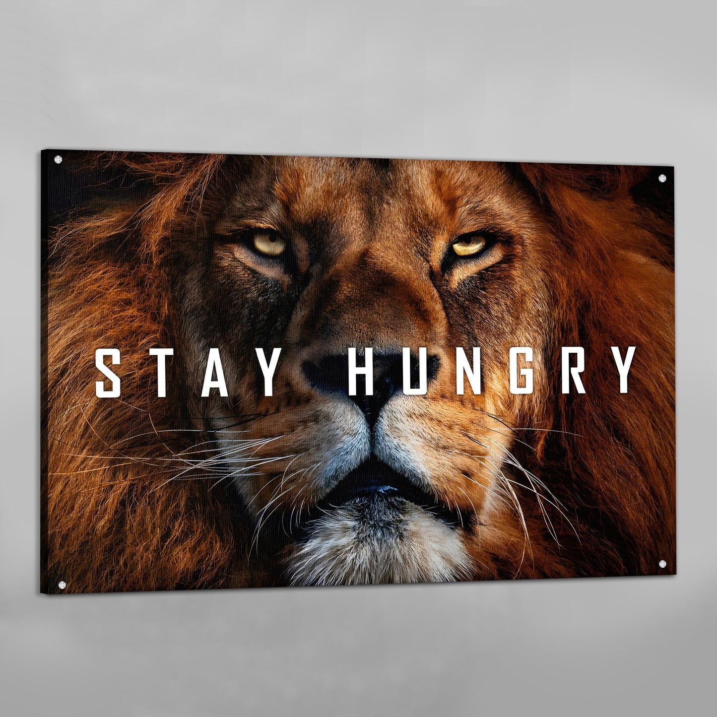 Stay Hungry Wall Art - Luxury Art Canvas