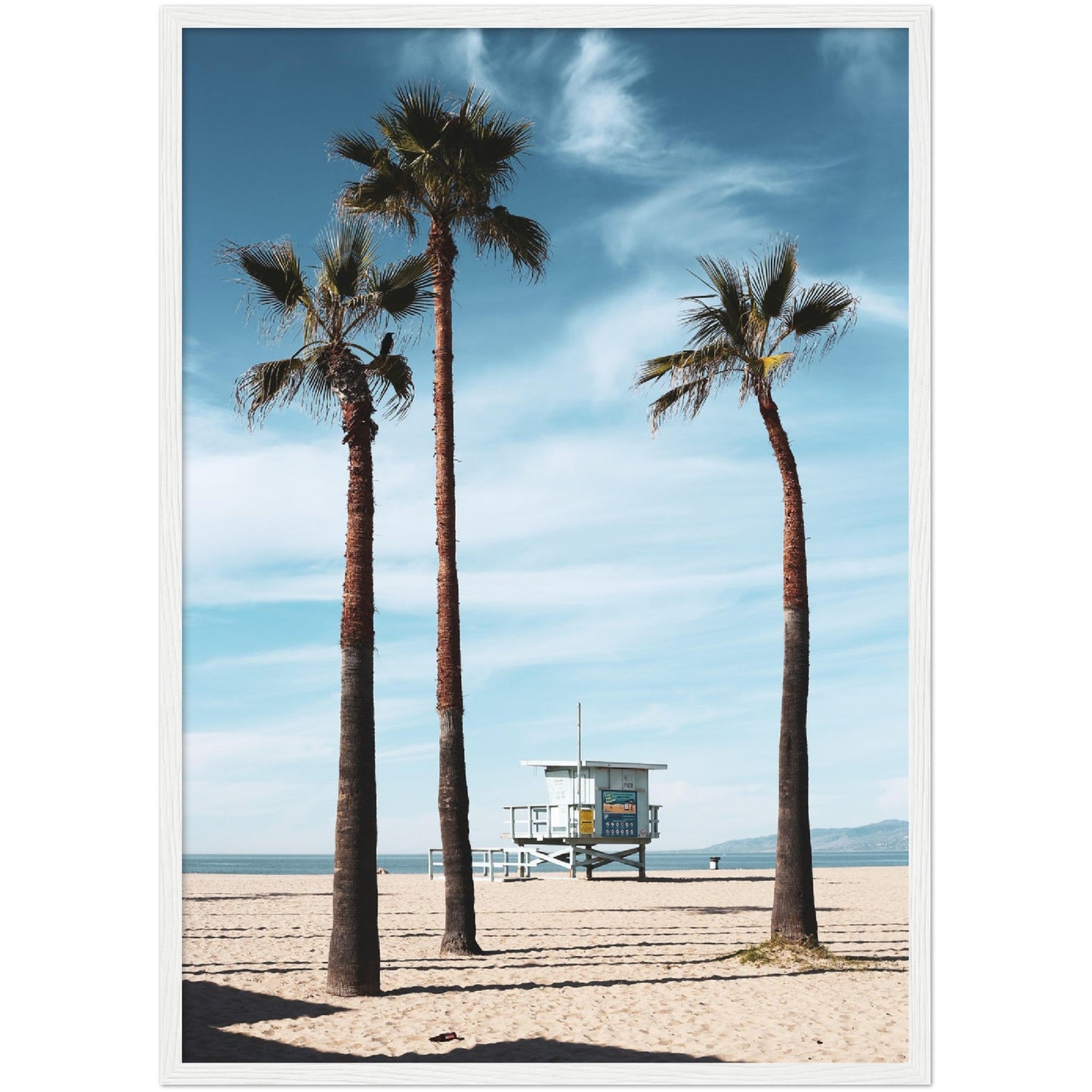 Venice Beach Wall Art - Luxury Art Canvas