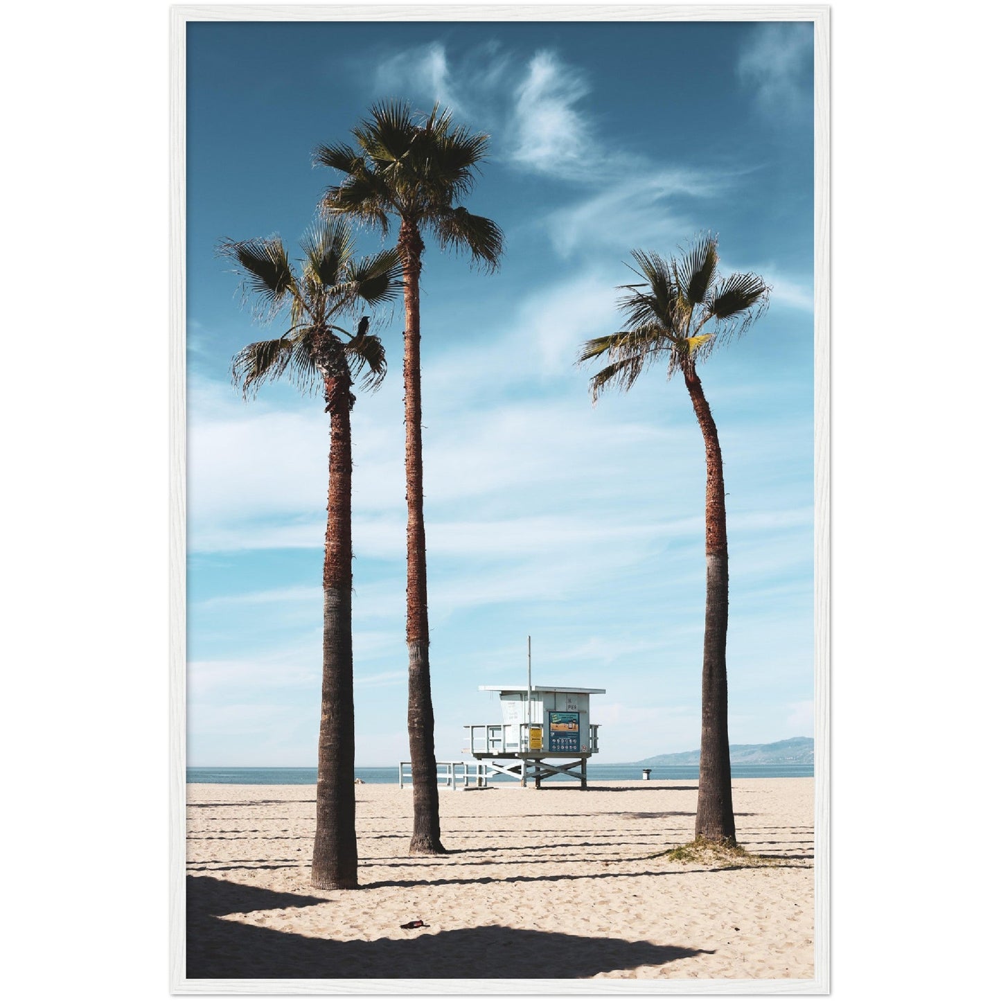 Venice Beach Wall Art - Luxury Art Canvas