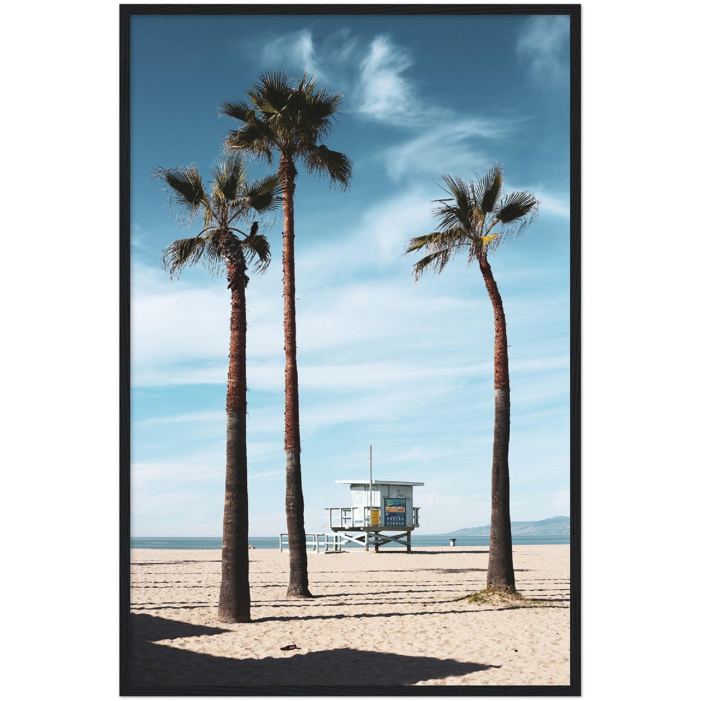 Venice Beach Wall Art - Luxury Art Canvas