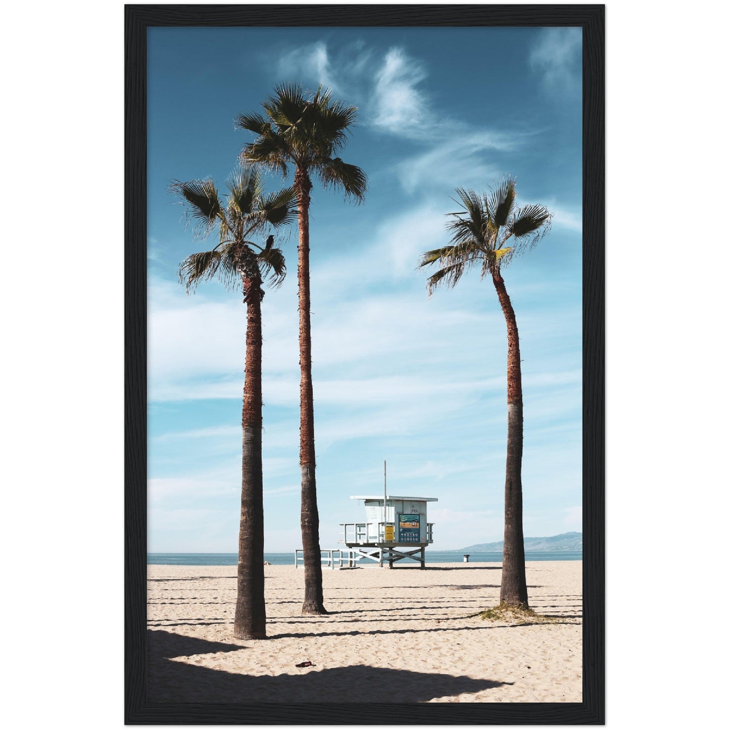 Venice Beach Wall Art - Luxury Art Canvas