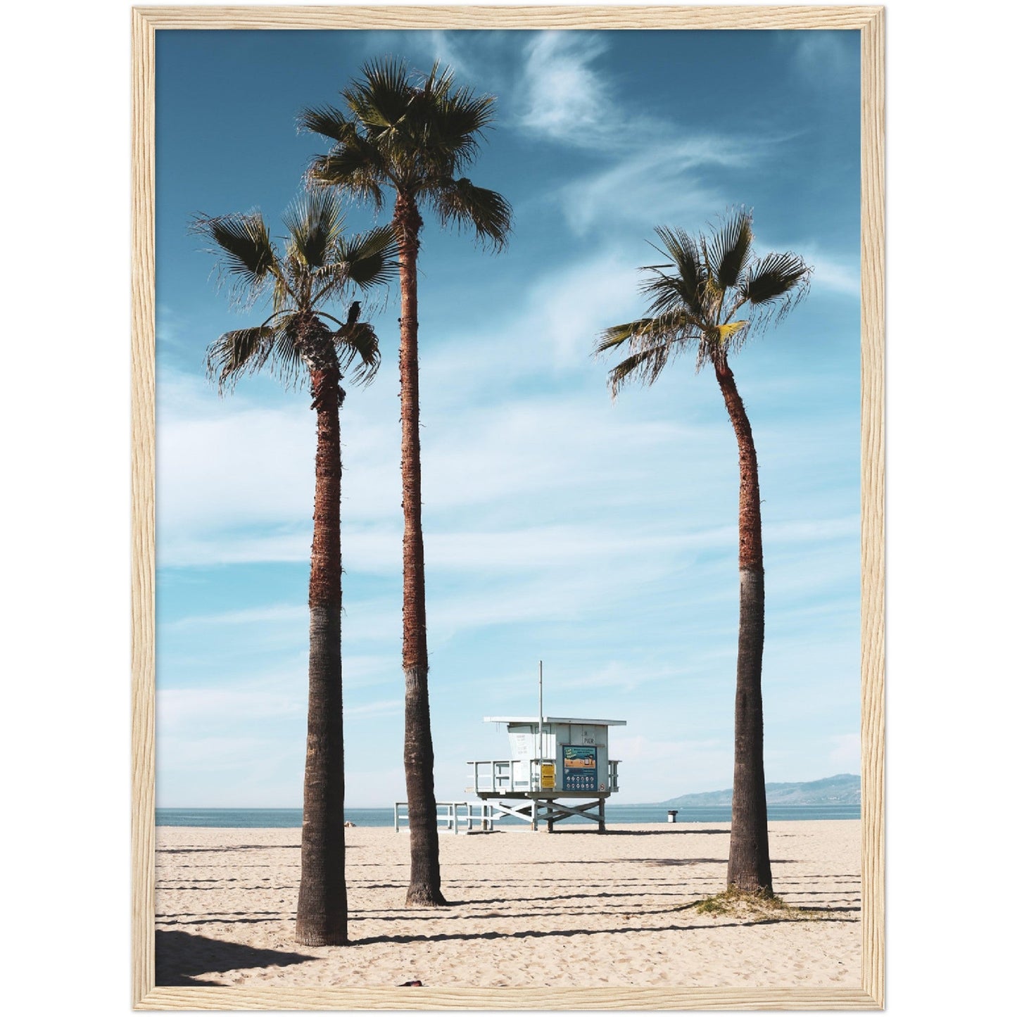 Venice Beach Wall Art - Luxury Art Canvas