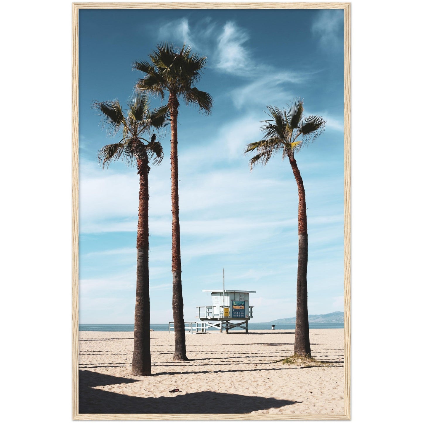 Venice Beach Wall Art - Luxury Art Canvas