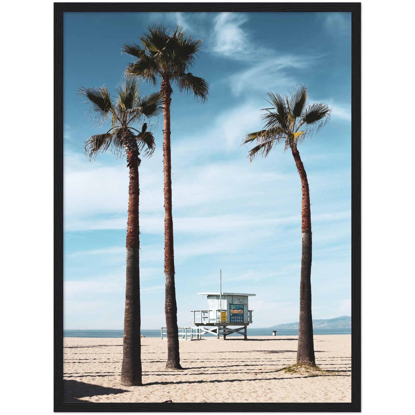 Venice Beach Wall Art - Luxury Art Canvas