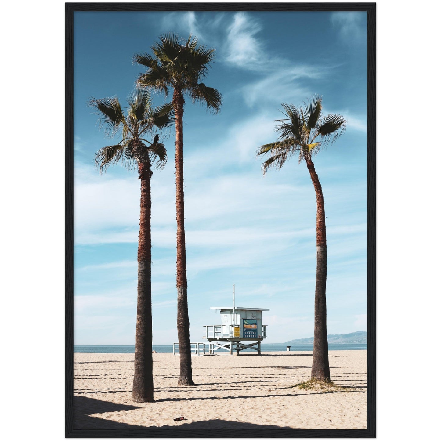 Venice Beach Wall Art - Luxury Art Canvas