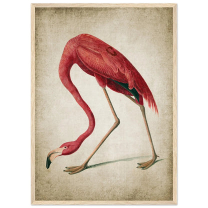 Vintage Flamingo Wall Art - Luxury Art Canvas