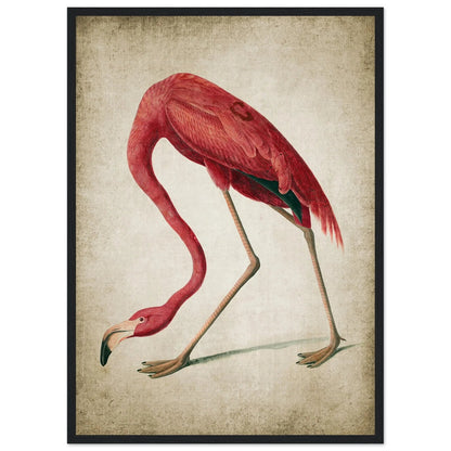 Vintage Flamingo Wall Art - Luxury Art Canvas