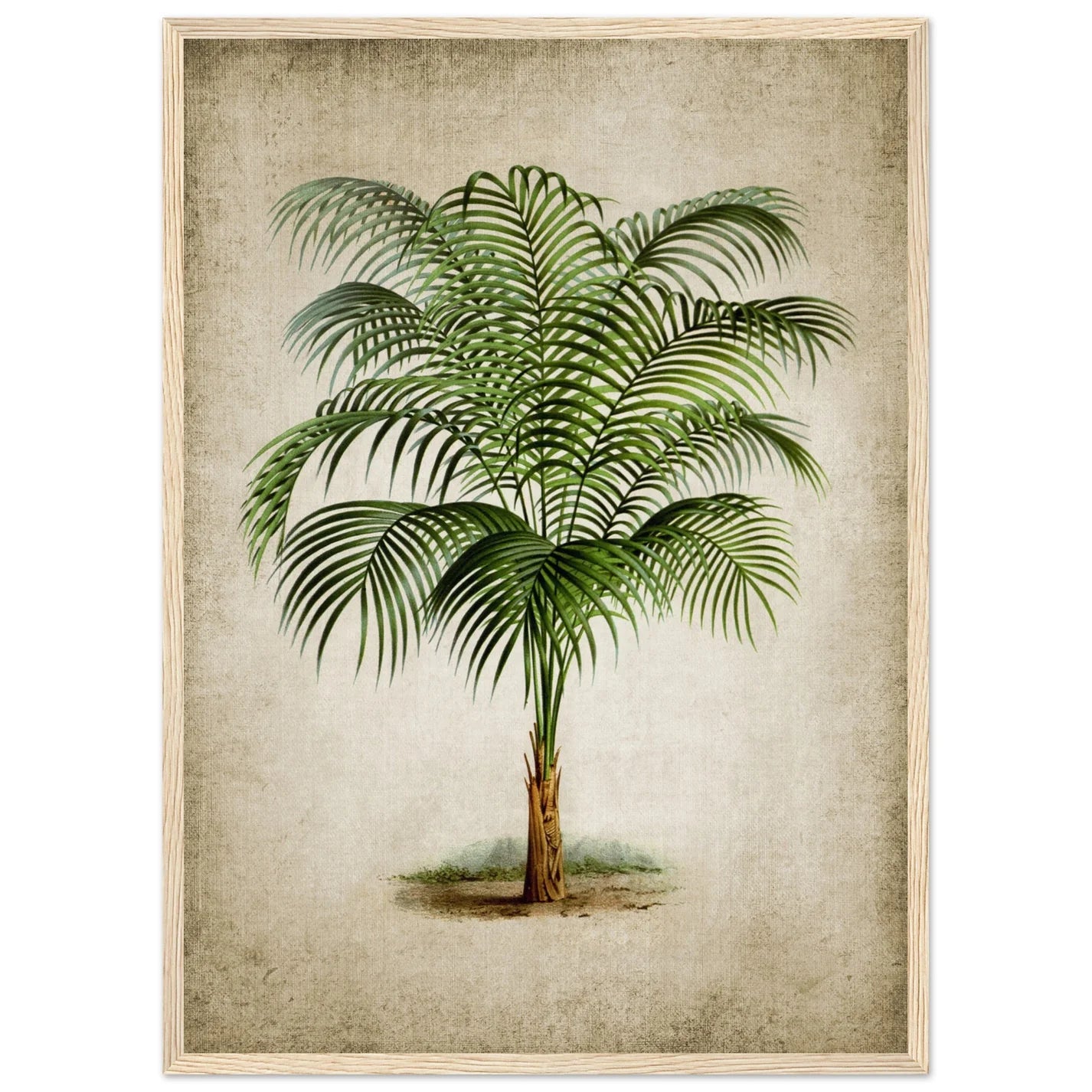 Vintage Tropical Wall Art - Luxury Art Canvas